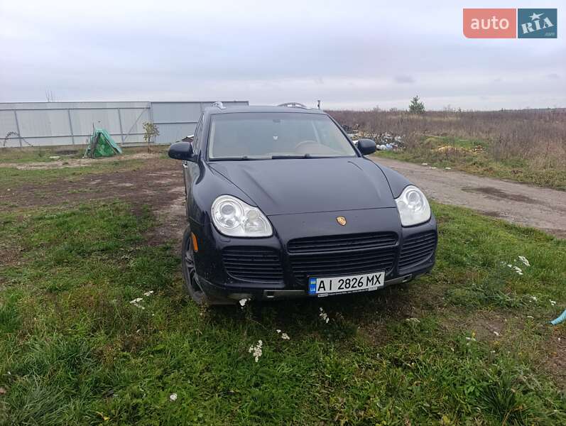 Позашляховик / Кросовер Porsche Cayenne 2005 в Ясногородці Позашляховик / Кросовер Porsche Cayenne 2005 в Ясногородці