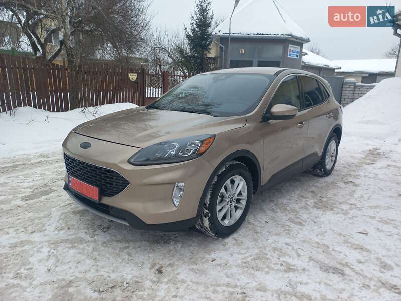 Внедорожник / Кроссовер Ford Escape 2020 в Чернигове Внедорожник / Кроссовер Ford Escape 2020 в Чернигове