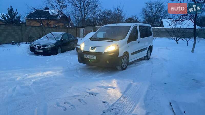 Минивэн Peugeot Expert 2009 в Луцке