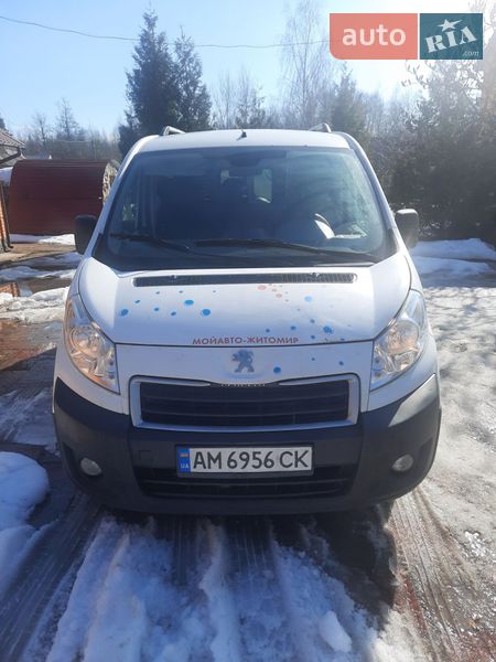 Грузовой фургон Peugeot Expert 2012 в Житомире