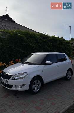 Хэтчбек Skoda Fabia 2011 в Балте