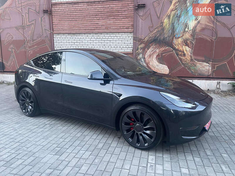 Внедорожник / Кроссовер Tesla Model Y 2024 в Днепре
