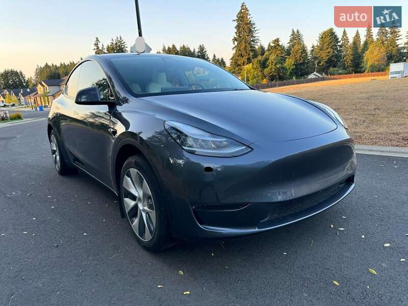 Внедорожник / Кроссовер Tesla Model Y 2021 в Чернигове