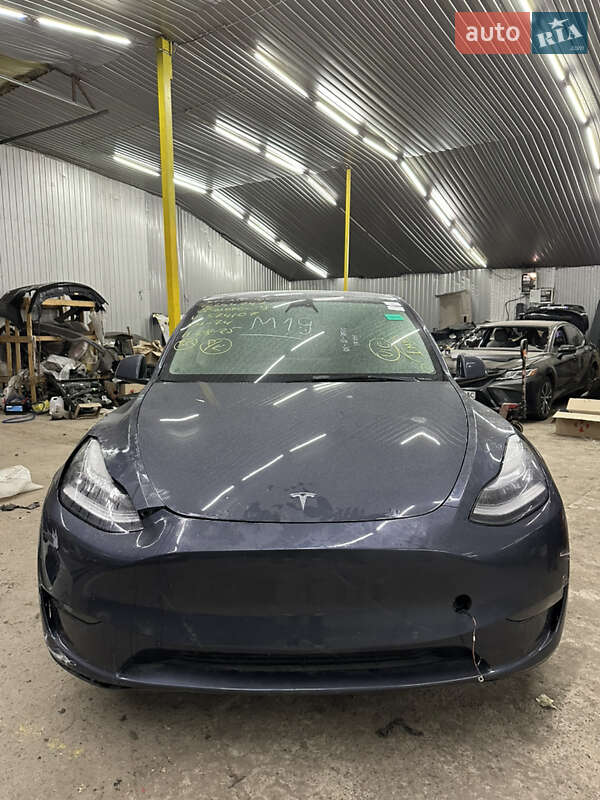 Внедорожник / Кроссовер Tesla Model Y 2022 в Киеве