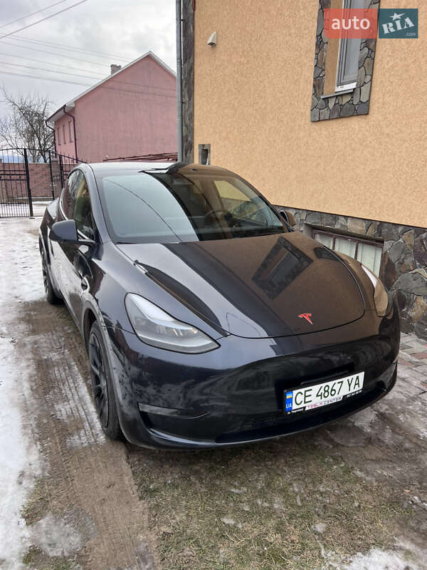 Внедорожник / Кроссовер Tesla Model Y 2024 в Черновцах