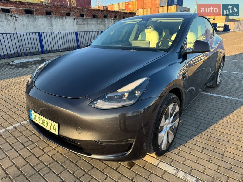 Внедорожник / Кроссовер Tesla Model Y 2024 в Тернополе
