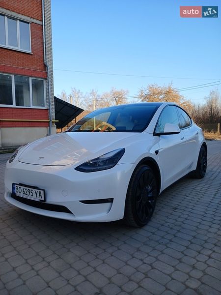 Внедорожник / Кроссовер Tesla Model Y 2021 в Теребовле