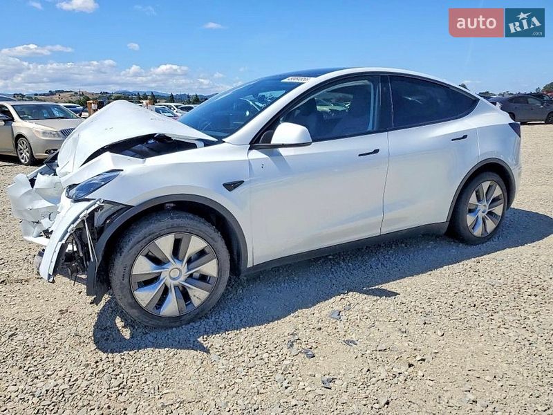 Внедорожник / Кроссовер Tesla Model Y 2023 в Фастове