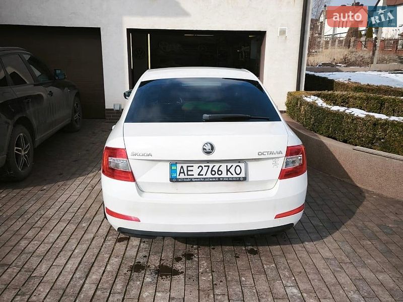 Лифтбек Skoda Octavia 2013 в Кривом Роге