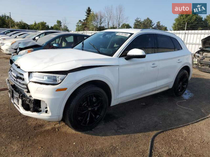 Внедорожник / Кроссовер Audi Q5 2019 в Стрые Внедорожник / Кроссовер Audi Q5 2019 в Стрые