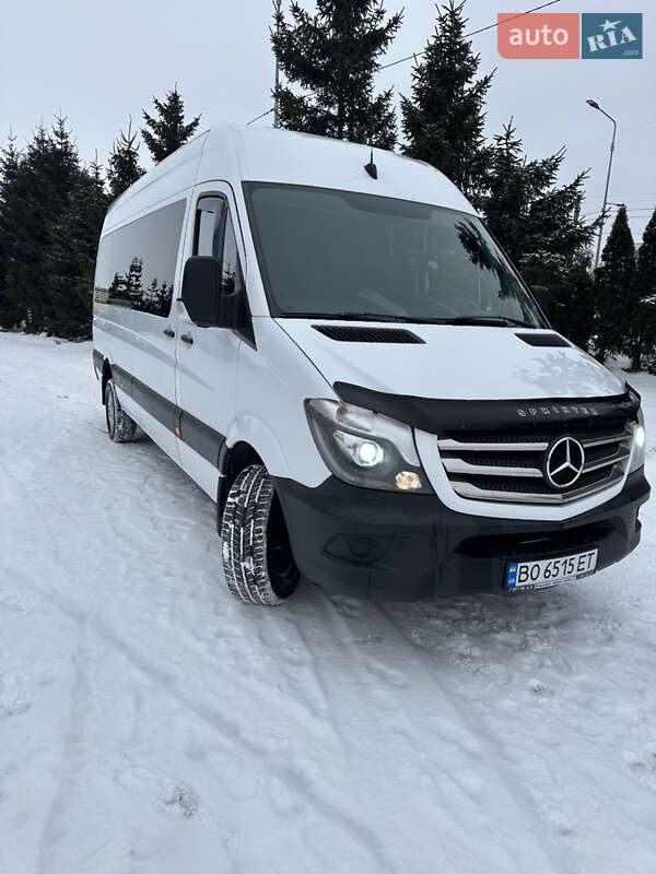 Вантажопасажирський фургон Mercedes-Benz Sprinter 2017 в Тернополі