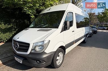 Минивэн Mercedes-Benz Sprinter 2014 в Толстом