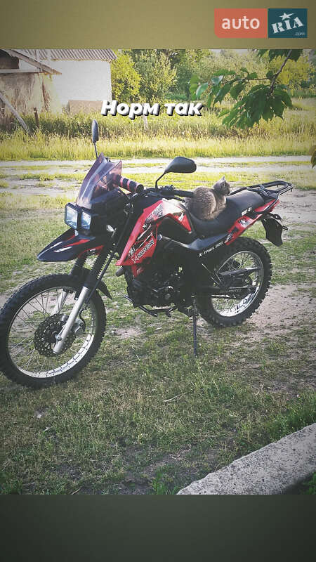 Мотовездеход Shineray X-Trail 200 2019 в Сарнах