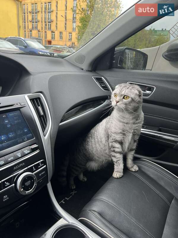 Седан Acura TLX 2017 в Киеве