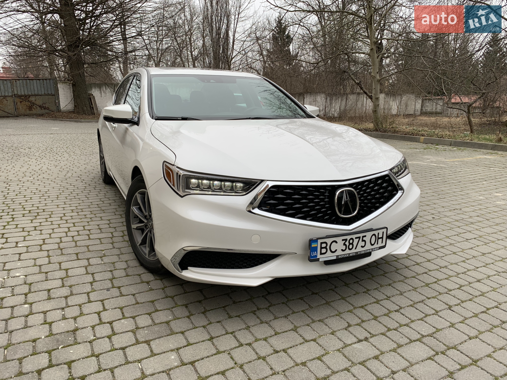 2019 Acura TLX - мініатюра 2