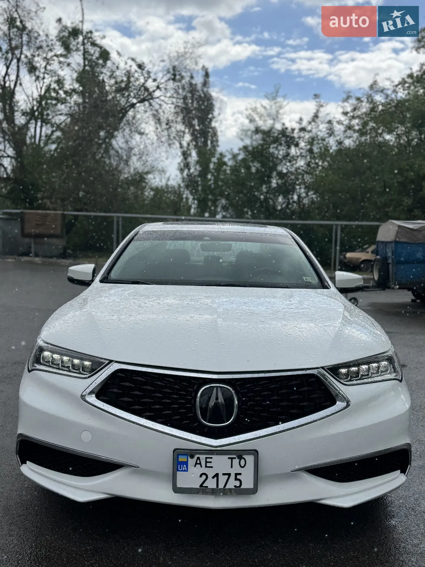 2019 Acura TLX - мініатюра 5