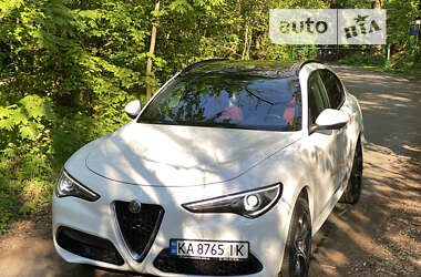 Внедорожник / Кроссовер Alfa Romeo Stelvio 2019 в Киеве