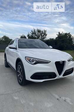 Внедорожник / Кроссовер Alfa Romeo Stelvio 2019 в Житомире