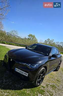 Внедорожник / Кроссовер Alfa Romeo Stelvio 2021 в 