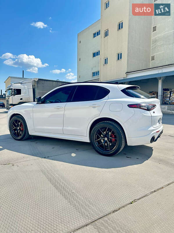 Позашляховик / Кросовер Alfa Romeo Stelvio 2021 в Львові