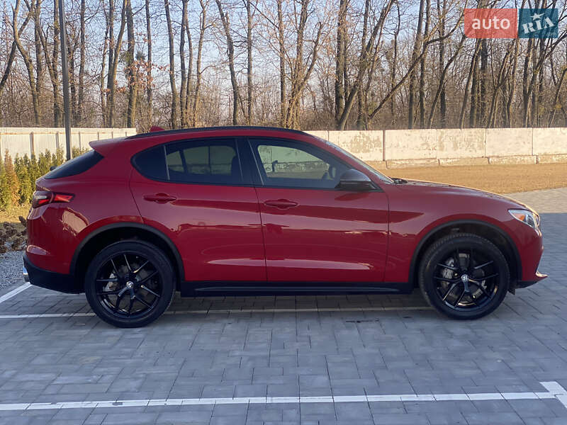 Позашляховик / Кросовер Alfa Romeo Stelvio 2020 в Луцьку