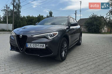 Позашляховик / Кросовер Alfa Romeo Stelvio 2021 в Чернівцях