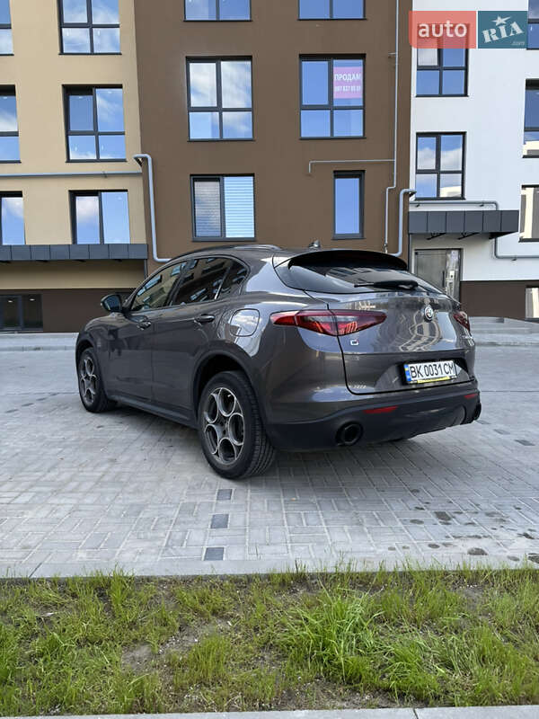 Позашляховик / Кросовер Alfa Romeo Stelvio 2021 в Рівному фото 18 Позашляховик / Кросовер Alfa Romeo Stelvio 2021 в Рівному