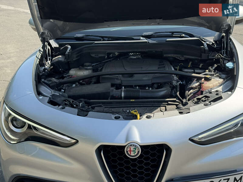 Внедорожник / Кроссовер Alfa Romeo Stelvio 2021 в Киеве
