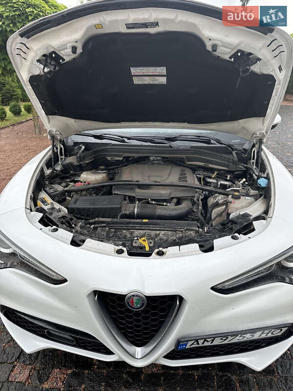 Внедорожник / Кроссовер Alfa Romeo Stelvio 2019 в Киеве фото 6 Внедорожник / Кроссовер Alfa Romeo Stelvio 2019 в Киеве
