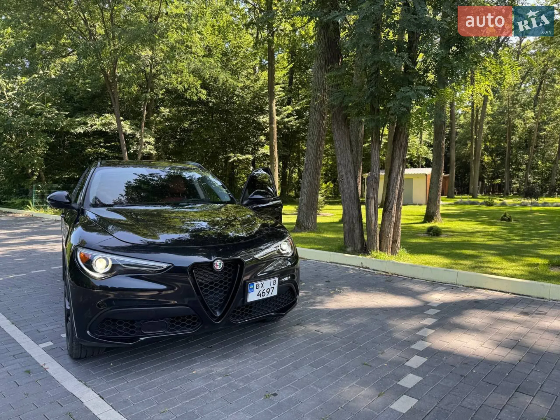 2019 Alfa Romeo Stelvio - мініатюра 11