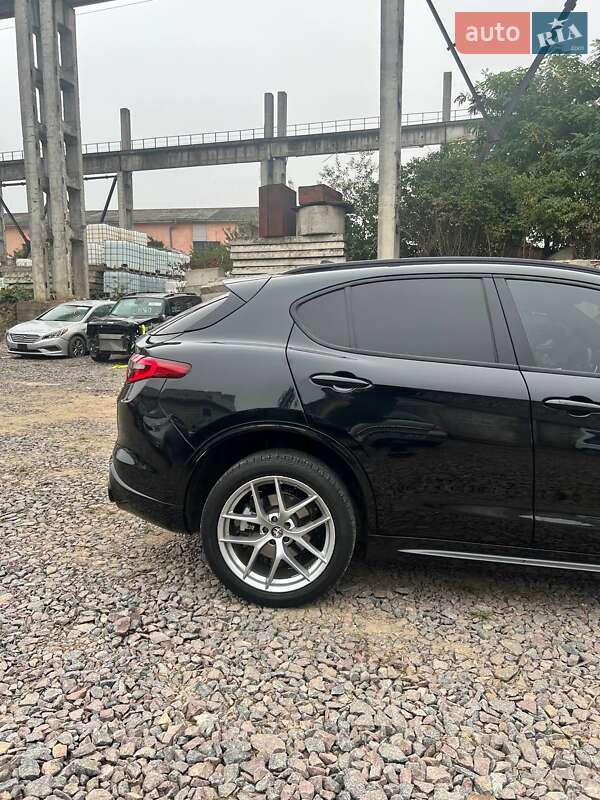 Внедорожник / Кроссовер Alfa Romeo Stelvio 2021 в Львове