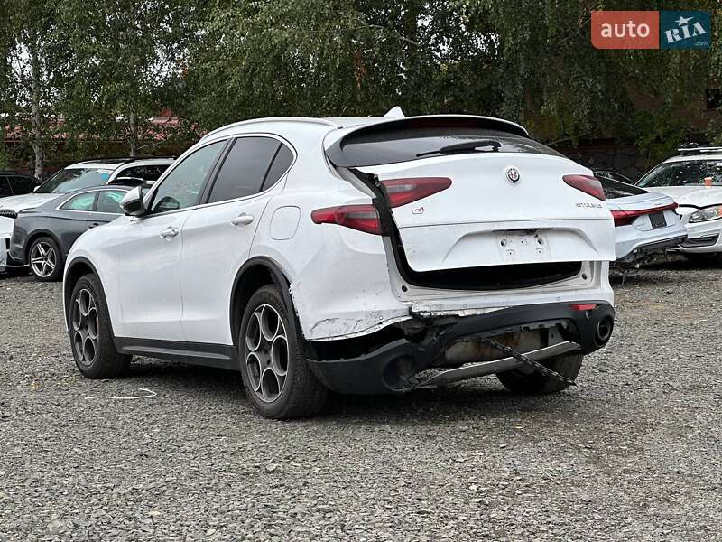 Позашляховик / Кросовер Alfa Romeo Stelvio 2017 в Луцьку