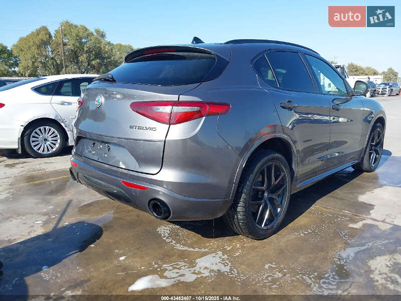 Внедорожник / Кроссовер Alfa Romeo Stelvio 2020 в Днепре фото 3 Внедорожник / Кроссовер Alfa Romeo Stelvio 2020 в Днепре