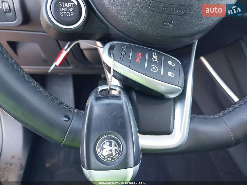 Внедорожник / Кроссовер Alfa Romeo Stelvio 2020 в Днепре фото 10 Внедорожник / Кроссовер Alfa Romeo Stelvio 2020 в Днепре