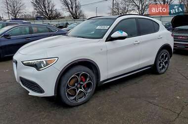 Внедорожник / Кроссовер Alfa Romeo Stelvio 2022 в Черкассах