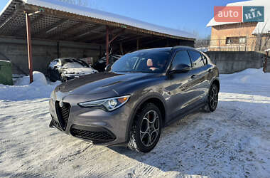 Внедорожник / Кроссовер Alfa Romeo Stelvio 2022 в Ровно