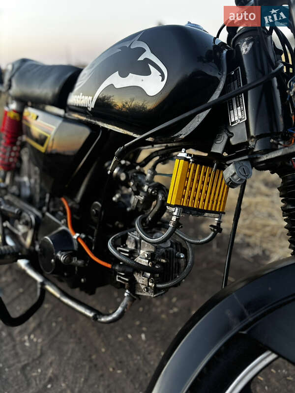Кафе рейсер Alpha 110 2019 в Кривой Балке
