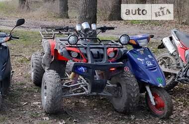 Квадроцикл  утилитарный ATV 250 2019 в Каменец-Подольском