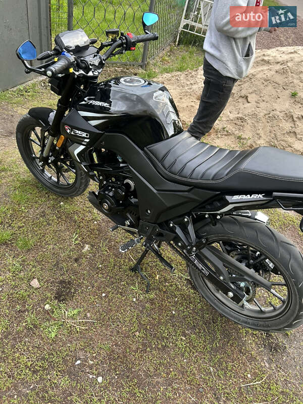 Мотоцикл Классик ATV 250 2024 в Славянске