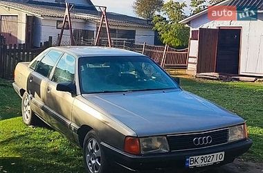 audi 100 1990 в Дубно от профессионального продавца Оленка Володимирівна Павлова