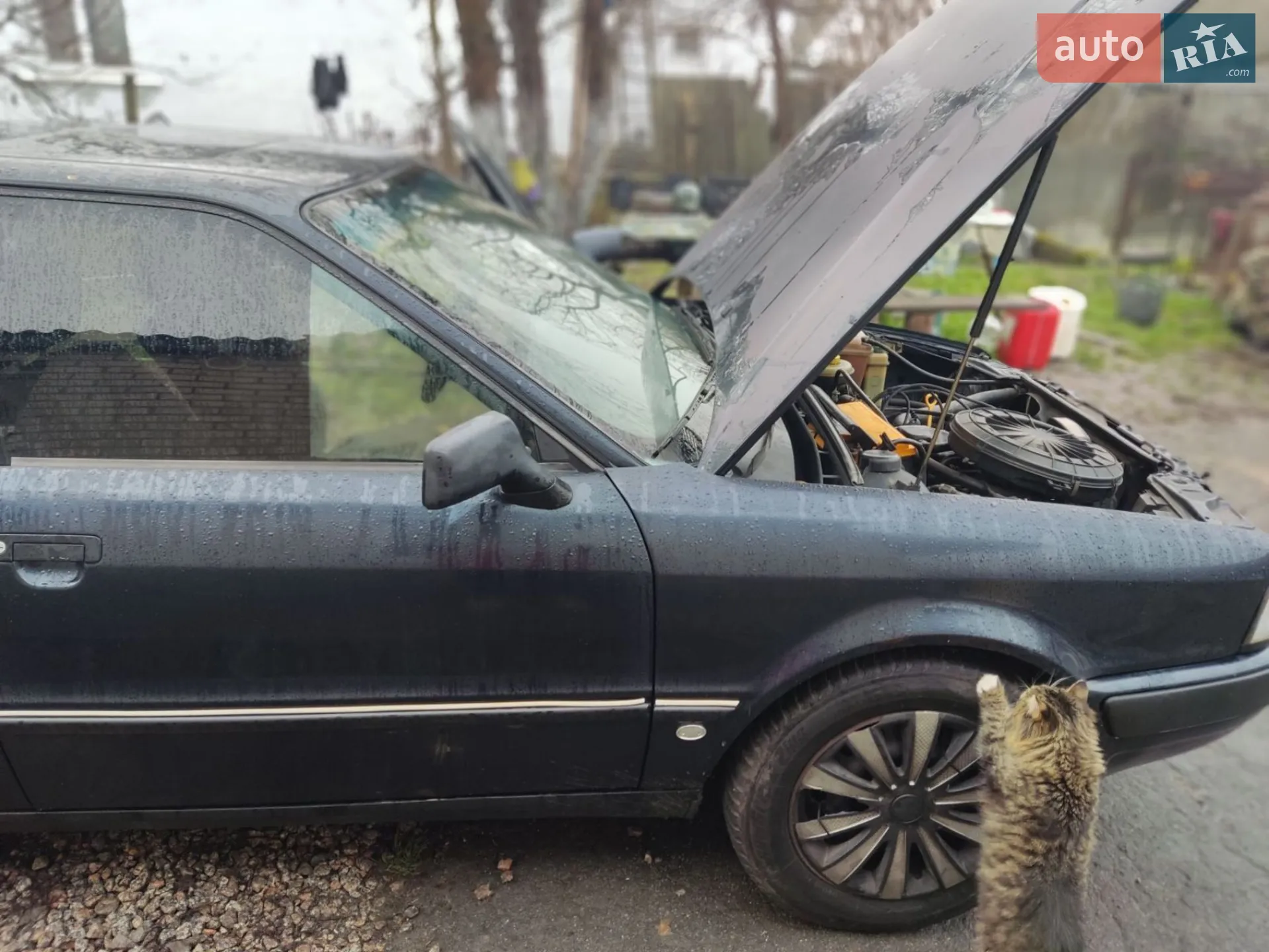 Audi 80 1992 VIN WAUZZZ8CZNA198775 фото оголошення 7 з 11