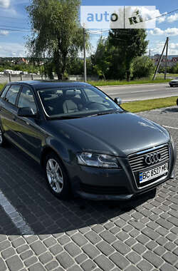 Хетчбек Audi A3 2008 в Трускавці