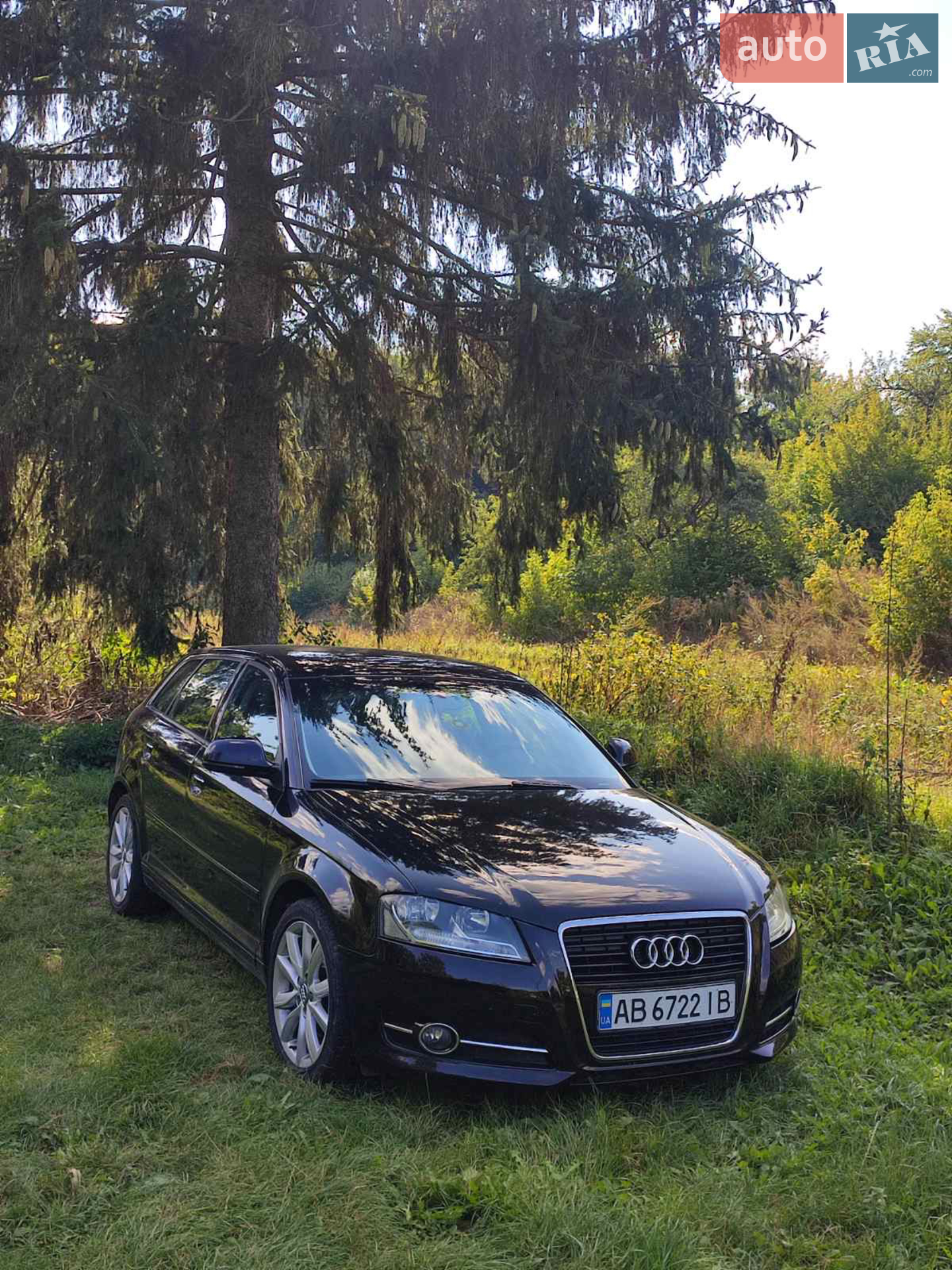 2010 Audi A3 - мініатюра 3