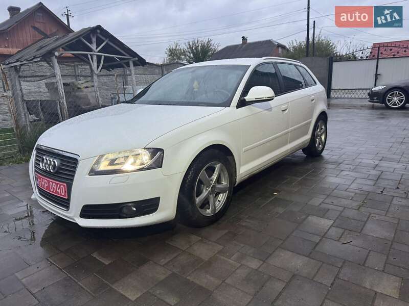 Хэтчбек Audi A3 2008 в Ромнах фото 30 Хэтчбек Audi A3 2008 в Ромнах