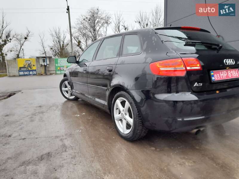 Хэтчбек Audi A3 2009 в Новой Водолаге фото 22 Хэтчбек Audi A3 2009 в Новой Водолаге