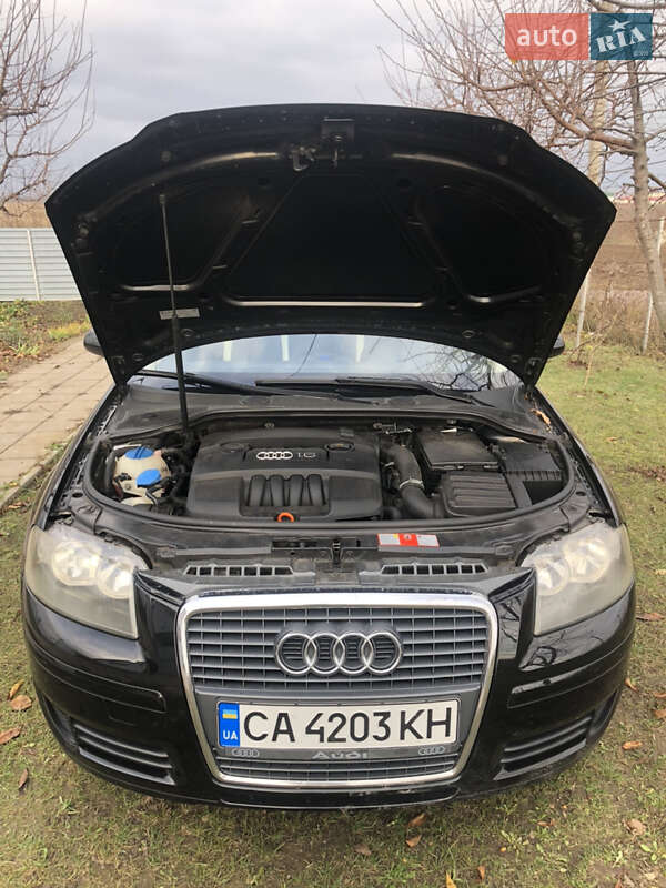 Хетчбек Audi A3 2005 в Теплику фото 5 Хетчбек Audi A3 2005 в Теплику