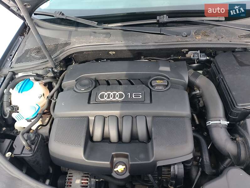 Хетчбек Audi A3 2005 в Тернополі