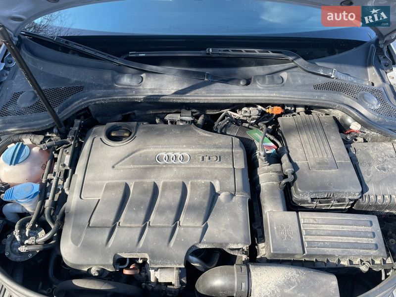 Хетчбек Audi A3 2009 в Львові фото 20 Хетчбек Audi A3 2009 в Львові