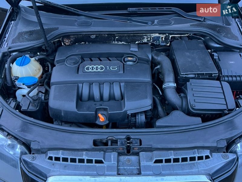Хэтчбек Audi A3 2004 в Тернополе фото 16 Хэтчбек Audi A3 2004 в Тернополе