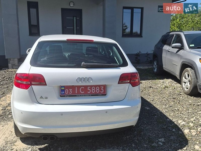 Хэтчбек Audi A3 2009 в Луцке